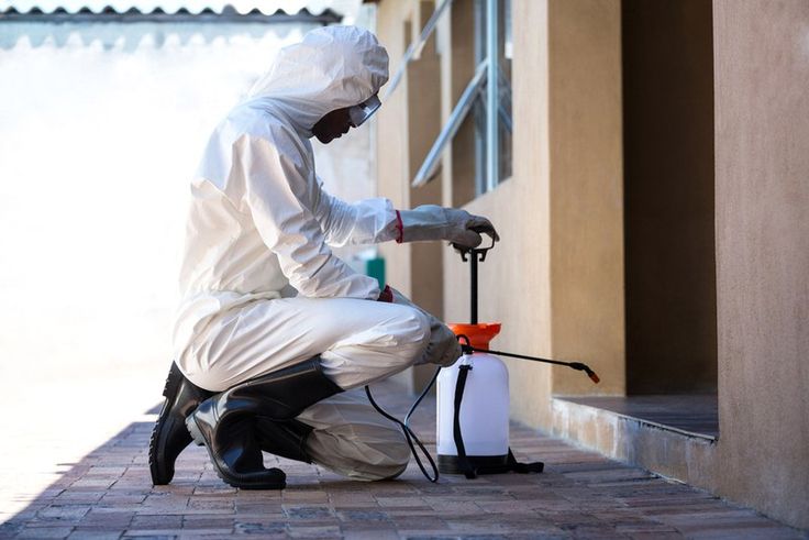 will diy termite control save me money or should i…